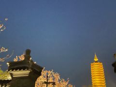 -西海子公园
