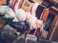 -穆莱拉赫制革厂