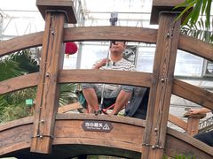 -南宫五洲植物乐园