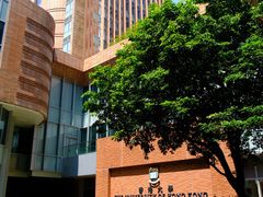 -香港大学