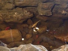 iphone_upload_pic-武林峰餐厅(龙湖星悦荟店)