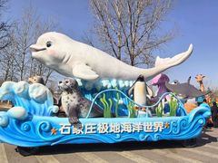-石家庄极地海洋世界