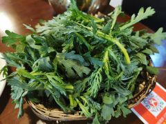 茼蒿-岳记兴隆·青城腊排铜火锅(融创店)