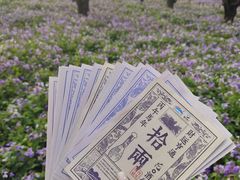 -江苏三台山国家森林公园