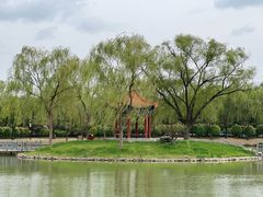 -将府公园