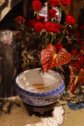 -武汉富力威斯汀酒店·宴会厅