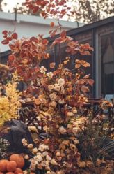 -天邑国际酒店·宴会厅