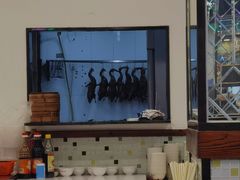 大堂-澳门陈光记烧味饭店(南京德基广场店)