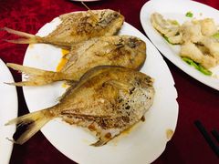 -蛇口康乐快餐鱼仔档(翠苑小区店)