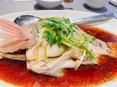 清蒸星斑红-徐记海鲜(梅溪新天地店)