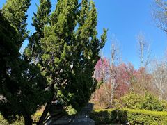 -天龙八部武侠城