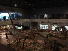 -自贡恐龙博物馆