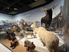 -陕西自然博物馆