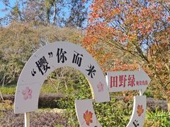 -田野绿世界
