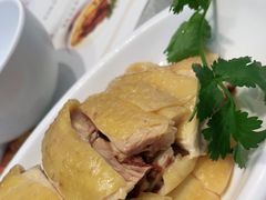 海南鸡饭-翠华(澳门银河店)