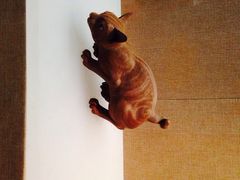 iphone_upload_pic-广东省博物馆