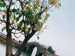 -大理洱海