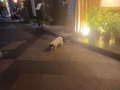 -乐嘉生活广场(加城花园店)