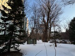 -北海道厅旧本厅舍(旧本庁舎)