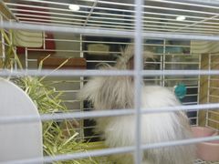 -藦茜花园宠物主题亲子互动体验馆(国顺东路店)
