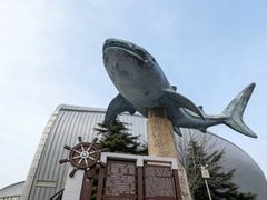 -烟台海昌鲸鲨海洋公园