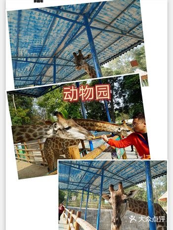 跨年日最佳地点！速戳！