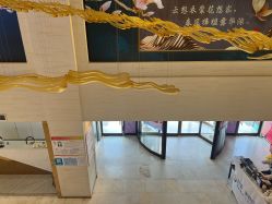 -石家庄苏亚美联臣医疗美容医院