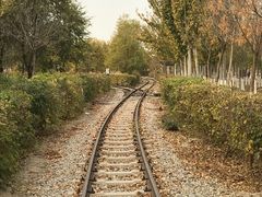 -西青郊野公园
