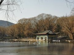 -石家庄市动物园