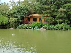 -海珠湖公园