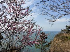 -大连金石滩滨海国家地质公园