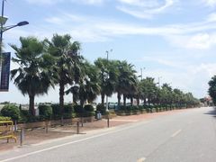 -南沙天后宫景区