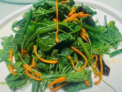 虫草花拌丝瓜尖-董家大院·京味家常菜(朝丰家园店)