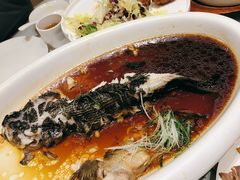 -高老庄新家宴(北斗星广场店)