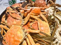 -半岛听涛蒸汽海鲜自助(K11店)