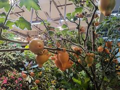 -双季花艺园艺市场(浦东店)
