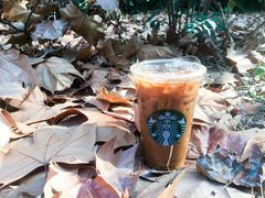 轻甜奶油冷萃-星巴克(南京同曦万尚城店)