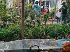 -姥家大锅台水库渔家