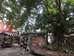 -宁曼路