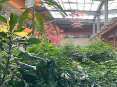 -君临七星生态酒店