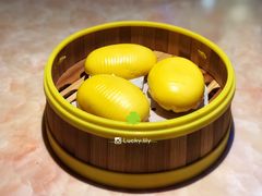 双味流沙包-客乡情(南京东路店)