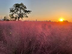 -汉长安城未央宫国家考古遗址公园