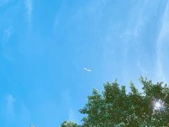 -南沙十九涌渔人码头-南门