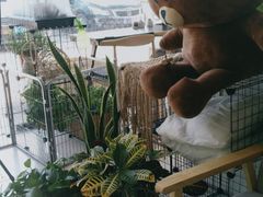 -平行世界·猫咖(首经贸店)