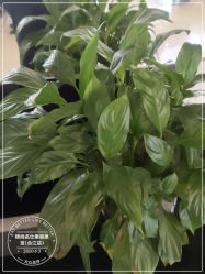 -锦尚名仕美容美发