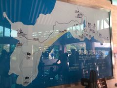 -广东惠东海龟国家级自然保护区