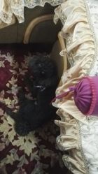 -杉惠素颜美妆皮肤管理中心