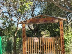 -第五季龙水凤港生态露营农场