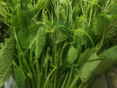 -岳各庄批发市场(西四环中路店)