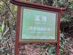 -紫云谷景区